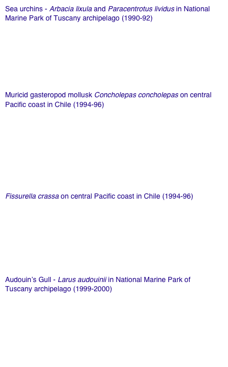 Sea urchins - Arbacia lixula and Paracentrotus lividus in National Marine Park of Tuscany archipelago (1990-92)
Chelazzi G., Serra G., Bucciarelli G. 1997. Zonal recovery after experimental displacement in two sea urchins (Arbacia lixula and Paracentrotus lividus) co-occurring in the Mediterranean. Journal of Experimental Marine Biology and Ecology, 212(1): 1-7.


Muricid gasteropod mollusk Concholepas concholepas on central Pacific coast in Chile (1994-96) 
Serra G., Chelazzi G., Castilla J.C. 1997. Effects of experience and risk of predation on the foraging behaviour of the South-Eastern Pacific muricid Concholepas concholepas (Mollusca: Gastropoda). Journal of Animal Ecology, 66(6): 876-883.



Fissurella crassa on central Pacific coast in Chile (1994-96) 
Serra G., Chelazzi G., Castilla J.C. 2001. Temporal and spatial activity of the key-hole limpet Fissurella crassa (Mollusca: Gastropoda) in the Eastern Pacific. Journal of the Marine Biological Association U.K, 81(3): 485-490.



Audouin’s Gull - Larus audouinii in National Marine Park of Tuscany archipelago (1999-2000)
Serra G., Melega L., Baccetti N. 2001. Piano di Azione Nazionale per il Gabbiano corso (Larus audouinii). Quaderni di Conservazione della Natura, Ministero dell'Ambiente e Istituto Nazionale Fauna Selvatica (INFS) “Alessandro Ghigi”, pp. 29. [transl. = National Action Plan for the Audouin's Gull (Larus audouinii) published by INFS (Italian National Institute for Wildlife Conservation) upon request of the Italian Ministry of Environment].
