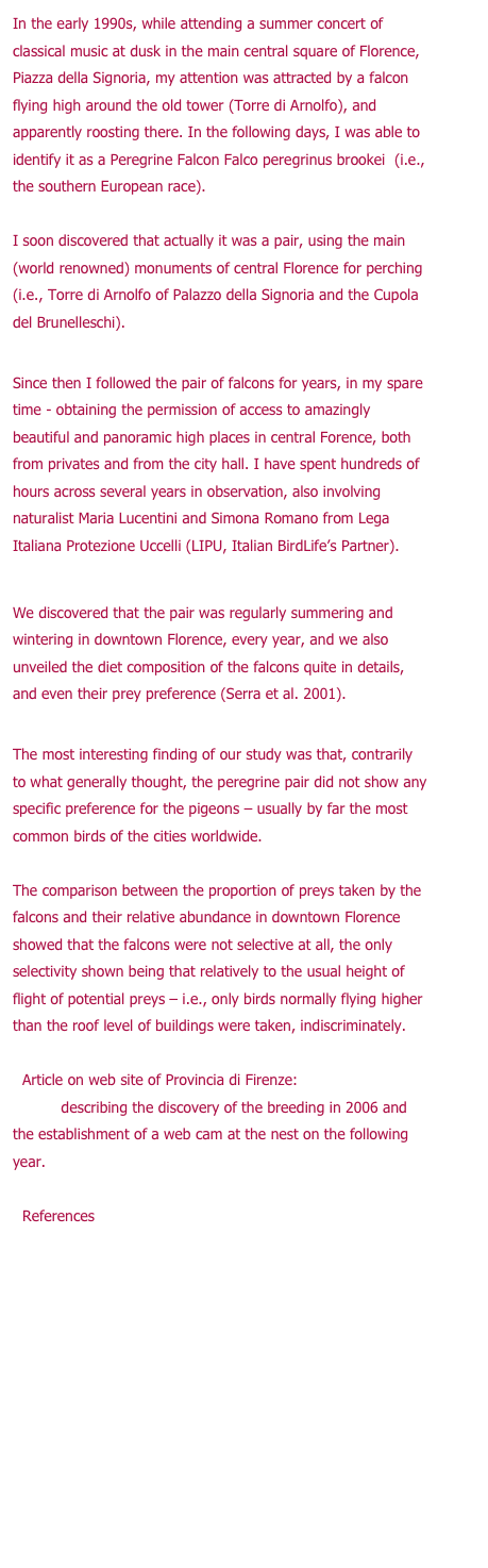 In the early 1990s, while attending a summer concert of classical music at dusk in the main central square of Florence, Piazza della Signoria, my attention was attracted by a falcon flying high around the old tower (Torre di Arnolfo), and apparently roosting there. In the following days, I was able to identify it as a Peregrine Falcon Falco peregrinus brookei  (i.e., the southern European race). 

I soon discovered that actually it was a pair, using the main (world renowned) monuments of central Florence for perching (i.e., Torre di Arnolfo of Palazzo della Signoria and the Cupola del Brunelleschi).

Since then I followed the pair of falcons for years, in my spare time - obtaining the permission of access to amazingly beautiful and panoramic high places in central Forence, both from privates and from the city hall. I have spent hundreds of hours across several years in observation, also involving naturalist Maria Lucentini and Simona Romano from Lega Italiana Protezione Uccelli (LIPU, Italian BirdLife’s Partner). 

We discovered that the pair was regularly summering and wintering in downtown Florence, every year, and we also unveiled the diet composition of the falcons quite in details, and even their prey preference (Serra et al. 2001).

The most interesting finding of our study was that, contrarily to what generally thought, the peregrine pair did not show any specific preference for the pigeons – usually by far the most common birds of the cities worldwide.

The comparison between the proportion of preys taken by the falcons and their relative abundance in downtown Florence showed that the falcons were not selective at all, the only selectivity shown being that relatively to the usual height of flight of potential preys – i.e., only birds normally flying higher than the roof level of buildings were taken, indiscriminately. 

Article on web site of Provincia di Firenze: Nest with a view (2007) describing the discovery of the breeding in 2006 and the establishment of a web cam at the nest on the following year.

References

Serra G., Lucentini M. and Romano S. 2001. Diet and prey selection of nonbreeding peregrine falcons (Falco peregrinus brookei) in a urban habitat of Italy. Journal of Raptor Research 35(1): 61-64.

Serra G. 2007. Identikit del Falco pellegrino Falco peregrinus.  Provincia di Firenze, 29 pp.
 


